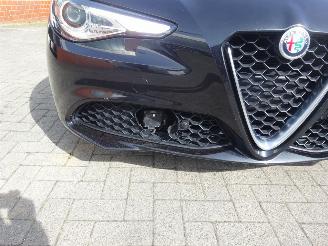 Alfa Romeo Giulia Super Business 2.2 JTD, Leer, Navi, Cruise & Climate picture 26