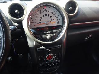 Mini Countryman Cooper SD All4, Panorama, Climate & Cruise ,Leer picture 20