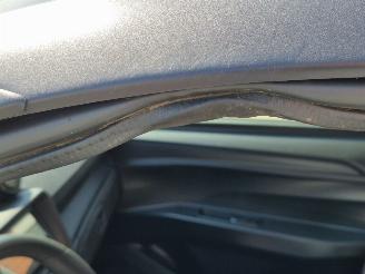Aixam S10 E-scouty Mega picture 15