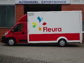 Fiat Ducato 2.3 Multijet 150pk, AL-KO Bloemenwagen met verwarming picture 7