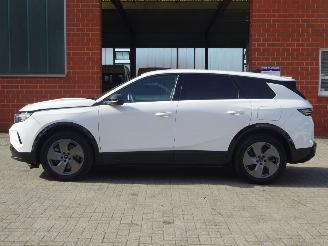 Opel Grandland Grandland Electric 157 kW GS picture 15