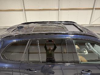 BMW X5 X-DRIVE45E 3.0 210kW Automaat Pano Executive picture 32