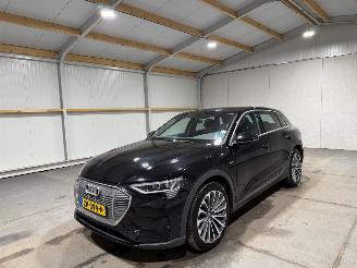 Audi E-tron 95kWh 55Quattro 300kW Advanced Pro Line S picture 10