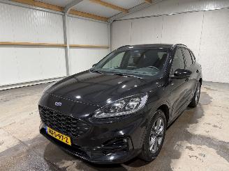 Ford Kuga 2.5PHEV 112kW Automaat Vignale picture 10