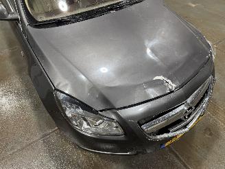 Opel Insignia 2.0T 162kW Automaat Clima Executive 4X4 picture 19