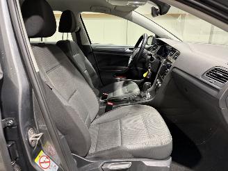 Volkswagen e-Golf 36kWh 100kW Automaat E-Edition picture 40