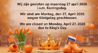 Coche accidentado Abarth 595 27 APRIL KONINGSDAG GESLOTEN 2026/4