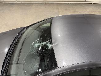 Volkswagen Golf GTI 2.0TSI 180kW Automaat Performance picture 30