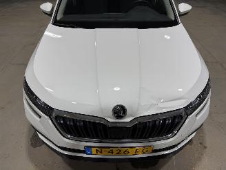 Skoda Kamiq 1.0TSI 81kW Ambition picture 20