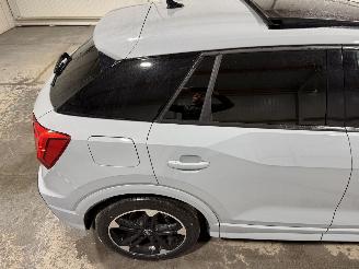 Audi Q2 35TFSI 110kW Automaat S Edition Pano picture 30