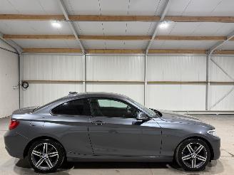 Avarii autoturisme BMW 2-serie 220D Coupe 135kW Automaat Clima 2014/5