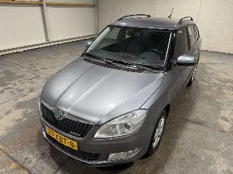 Skoda Fabia 1.2 TDI Greenline Businessline picture 23