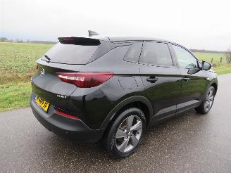 Opel Grandland X 1.6 181 pk Turbo Hybride Automaat Elektrisch/ benzine Elegance Camera  NAVIGATIE picture 8