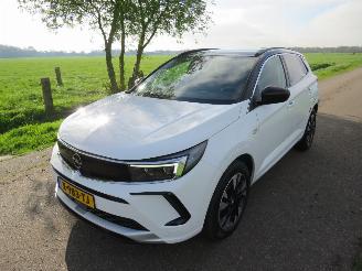 Schadeauto Opel Grandland 1.2  Turbo Automaat  131pk 40.000km 2024 Euro 6 MPV Camera Navigatie Clima 2024/3