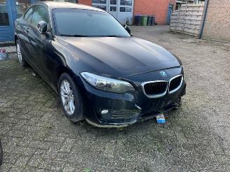  BMW 2-serie 218d 2015/4