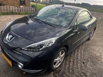 Peugeot 207 cc cabrio picture 2
