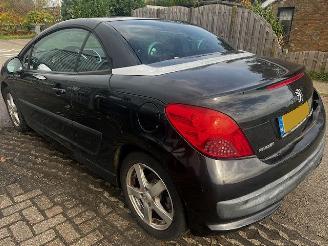 Peugeot 207 cc cabrio picture 4