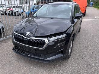 Skoda Karoq 1.5tsi  dsg picture 2