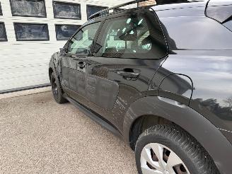 Citroën C4 cactus 1.2 Puretech Feel Navi Clima Cruise NAP ! picture 13