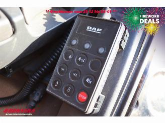 DAF CF 260 SC 4X2 FA ACC Retarder Euro 6 picture 22