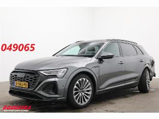 damaged passenger cars Audi Q8 55 quattro S-Line 115 kWh Pano LED ACC Memory AHK 2024/1