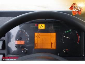   SK498 AT4 8X6 Euro 4 picture 26