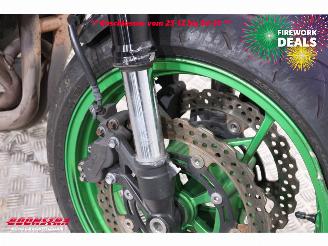 Kawasaki  Z900 ABS LED Remus picture 26