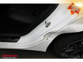 Tesla Model 3 RWD 60 kWh Pano Full Self Driving ACC Ventilatie AHK picture 7