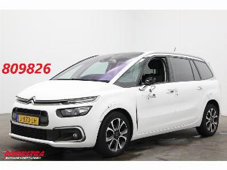 damaged passenger cars Citroën Grand C4 SpaceTourer 1.2 PureTech Bns 7-Pers. Navi Clima Cruise Camera PDC AHK 46.725 km! 2020/9