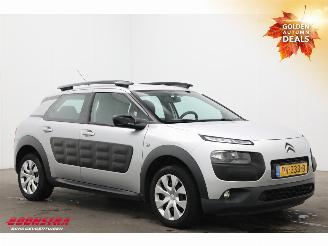 Citroën C4 cactus 1.2 PureTech Feel Airco Navi PDC picture 2