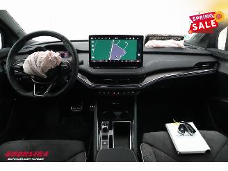 Skoda Enyaq 85 Sportline Matrix ACC LRHZ Camera Memory picture 14