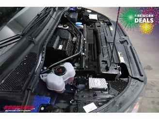 Skoda Enyaq 85 Sportline Matrix ACC LRHZ Camera Memory picture 6