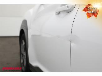 Hyundai Kona 1.6 GDI HEV Comfort Clima Navi Camera ACC picture 9