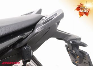 BMW S 1000 XR Dynamic Touring Cruise Heizgriffe picture 12