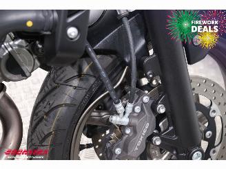 Suzuki  SV650A ABS BTW! 2.525 km! picture 19