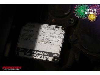   C 610 Compact BY 2011 Rupshijskraan Raupenkran picture 21