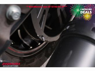 Indian  Challenger Dark Horse Cruise Heizgriffe SHZ Navi picture 11