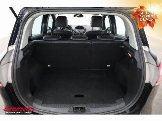 Ford B-Max 1.0 EcoB. Titanium Clima Cruise Leder SHZ picture 20