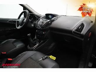 Ford B-Max 1.0 EcoB. Titanium Clima Cruise Leder SHZ picture 7