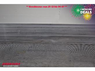 Krone  SD Kuhler Carrier Vector ME19 MT Doppelstock picture 13