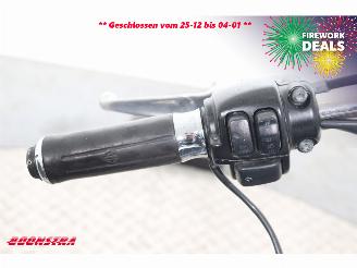 Harley-Davidson  FLSTC Heritage Softail Classic Python BY 2008 picture 20