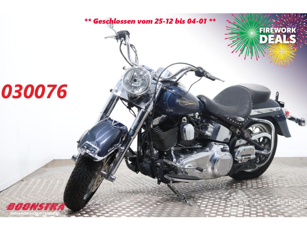 Harley-Davidson FLSTC Heritage Softail Classic Python BY 2008