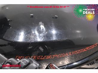 Harley-Davidson  VRSCD Night-Rod 5HD! picture 10