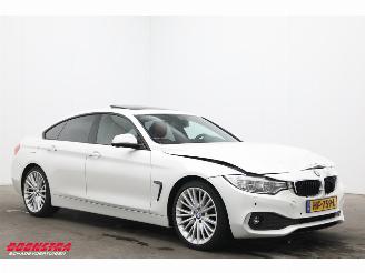 BMW 4-serie Gran Coupé 420d Leder AHK Camera Glasdak Memory H/K LRHZ picture 2