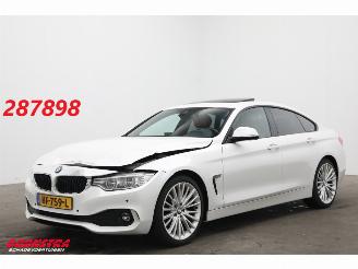 Avarii autoturisme BMW 4-serie Gran Coupé 420d Leder AHK Camera Glasdak Memory H/K LRHZ 2015/10