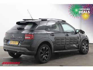 Citroën C4 cactus 1.2 PureTech Navi Clima Cruise PDC 92.137 km! picture 3
