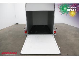   Roadster 500 Tandemasser 2t BY 2025 picture 8