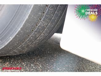 MAN TGS 18.320 Full Air LBW Dhollandia Camera Navi picture 38