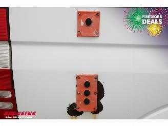 Mercedes Sprinter 316 NGT Aut. CNG Dhollandia LBW picture 16