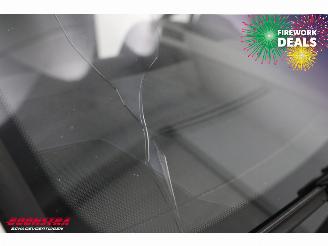 Mercedes Sprinter 316 NGT Aut. CNG Dhollandia LBW picture 6